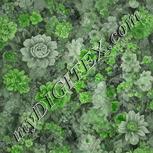 Colour:D