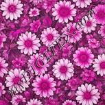 Colour:B