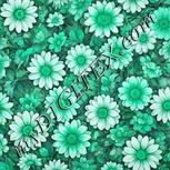 Colour:C