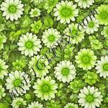 Colour:D