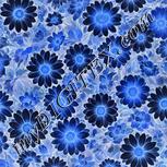Colour:F