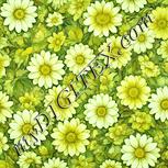 Colour:K