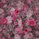 Colour:B