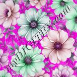 Colour:B