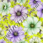 Colour:D