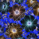 Colour:F