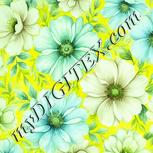 Colour:K