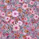 Colour:B