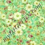 Colour:K