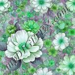 Colour:C