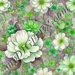 Colour:D