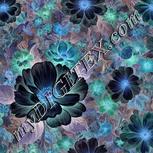 Colour:F