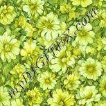 Colour:K