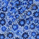 Colour:F