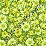 Colour:K