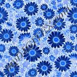 Colour:F