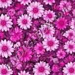 Colour:B