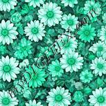 Colour:C