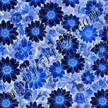 Colour:F