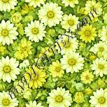 Colour:K