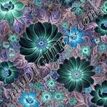 Colour:F