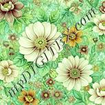 Colour:K