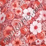 Colour:B