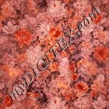 Colour:J