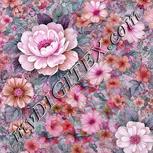 Colour:B