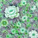 Colour:C