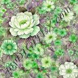 Colour:D