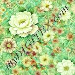 Colour:K
