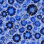 Colour:F