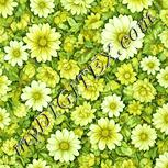 Colour:K