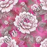 Colour:B