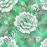 Colour:C