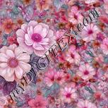 Colour:B