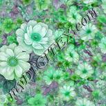 Colour:C