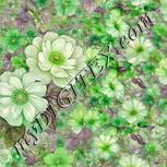 Colour:D