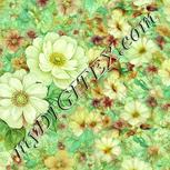 Colour:K