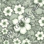 Colour:D