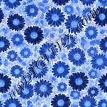 Colour:F