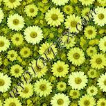 Colour:K