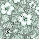 Colour:C