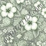 Colour:D