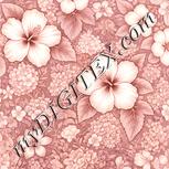 Colour:J