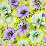 Colour:D