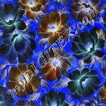 Colour:F