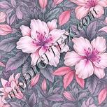 Colour:B