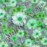Colour:C